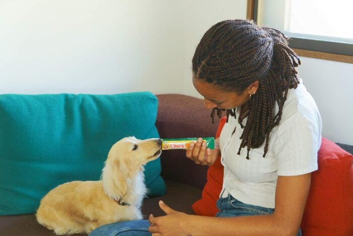 Inaba Dog Churu Chicken with Tuna Recipe | Wet Creamy Lickable Dog Treat |24 Tubes (Pack of 6, 56 GMS per Pack)